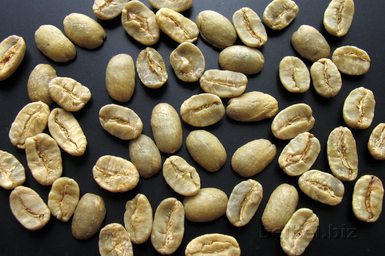 Maragogype (Elephant Bean) 马拉戈<em>日皮</em>古巴E